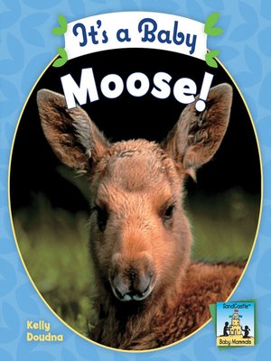 cover image of It's a Baby Moose